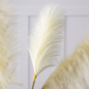 Gallery Direct Goma Soft Feather Stem Ivory 5pk | Shackletons