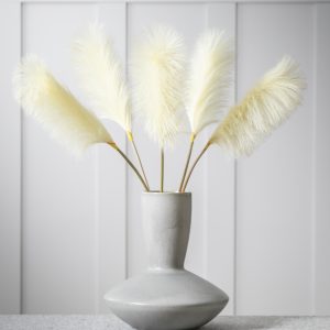 Gallery Direct Goma Soft Feather Stem Ivory 5pk | Shackletons