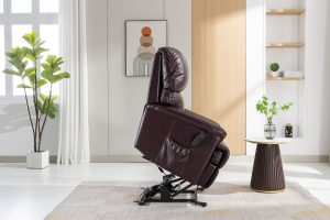 Global Furniture Alliance Toulouse Riser Recliner Chair in Walnut Leather | Shackletons