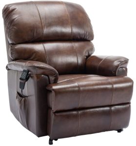 Global Furniture Alliance Toulouse Riser Recliner Chair in Walnut Leather | Shackletons