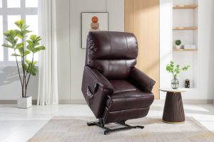 Toulouse Riser Recliner Chair in Mulberry Leather | Shackletons