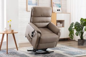 Valencia Riser Recliner Chair in Pebble Plush Fabric | Shackletons