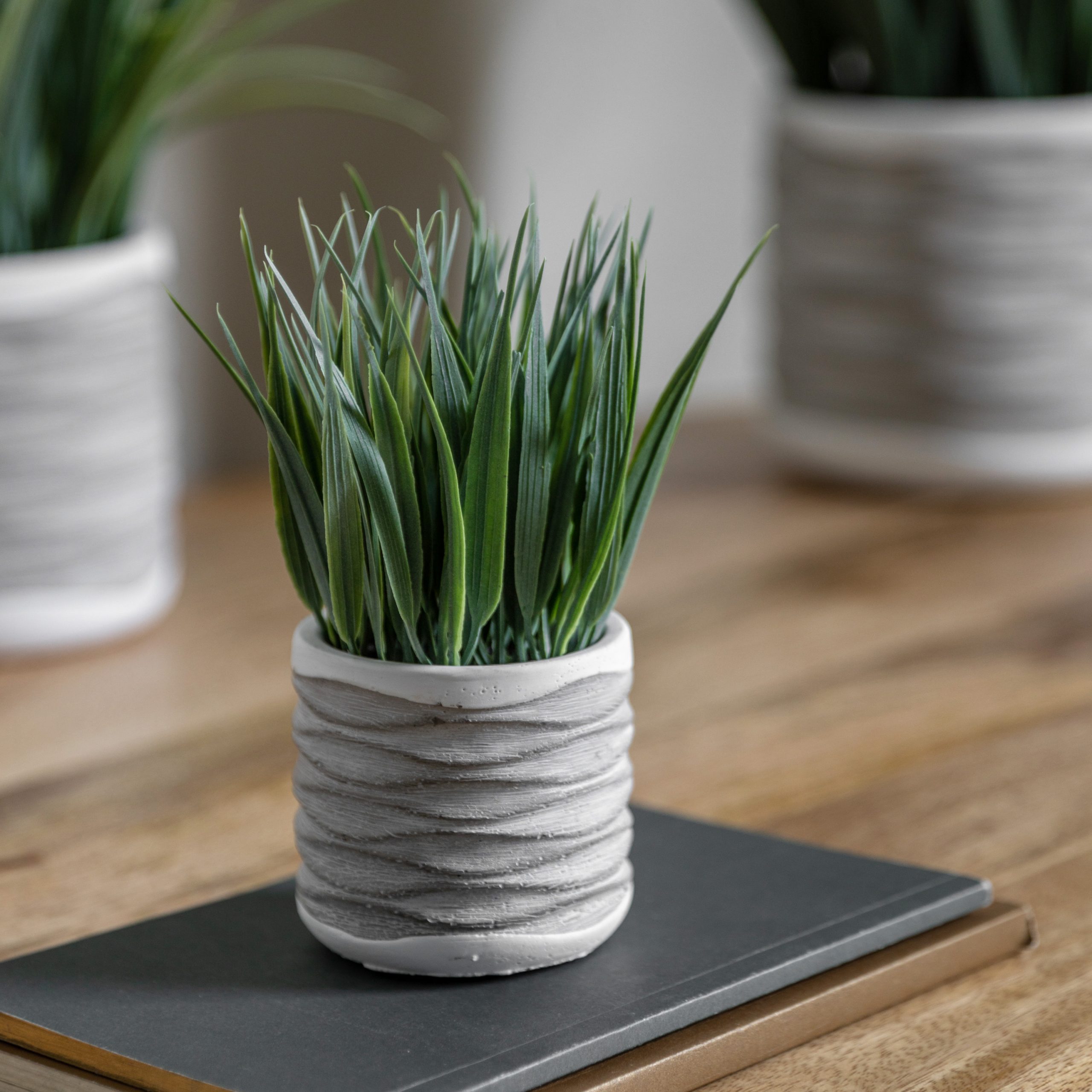 Gallery Direct Grass in Wavy Pot Small (Pack of 2)