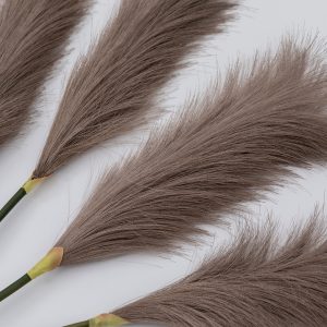 Gallery Direct Goma Soft Feather Stem Brown 5pk | Shackletons