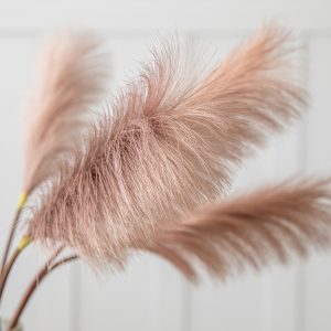 Gallery Direct Goma Soft Feather Stem Dark Blush 5pk | Shackletons