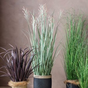 Gallery Direct Potted Grass w9 Heads GreenRusset | Shackletons