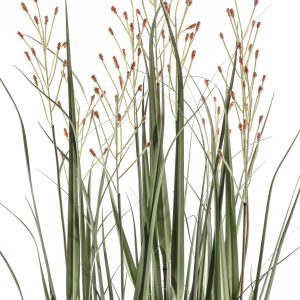 Gallery Direct Potted Grass w9 Heads GreenRusset | Shackletons