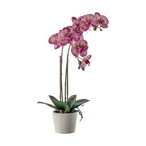 Gallery Direct Orchid Pink wCeramic Pot | Shackletons