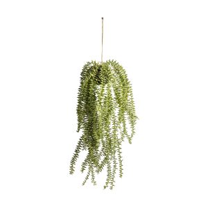 Gallery Direct Hanging Cactus Horsetail | Shackletons