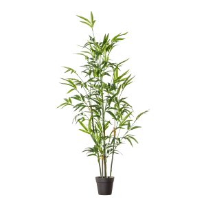 Gallery Direct Bamboo w Leaves | Shackletons