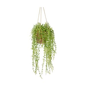 Gallery Direct Hanging Senecio w Cement Pot | Shackletons