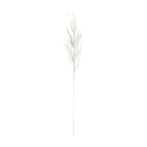 Gallery Direct Pampas Flocked White 5pk | Shackletons