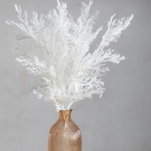 Gallery Direct Pampas Flocked White 5pk | Shackletons