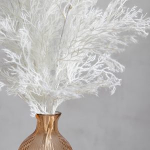 Gallery Direct Pampas Flocked White 5pk | Shackletons