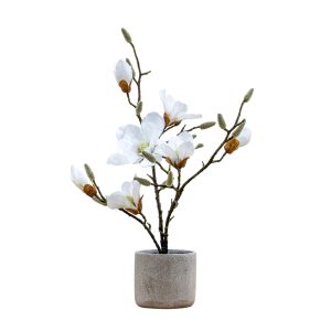 Gallery Direct Potted Magnolia real touch White | Shackletons