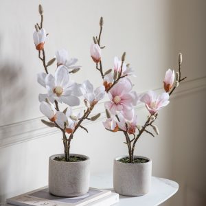 Gallery Direct Potted Magnolia real touch White | Shackletons