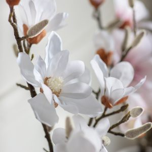 Gallery Direct Potted Magnolia real touch White | Shackletons