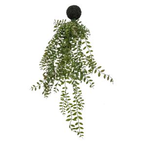 Gallery Direct Trailing Fern in Soil Green | Shackletons