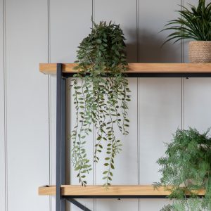 Gallery Direct Trailing Fern in Soil Green | Shackletons