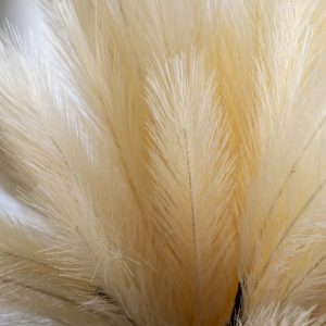 Gallery Direct Feathered Spray Ivory Pack of 6 | Shackletons