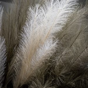 Gallery Direct Feathered Spray Ivory Pack of 6 | Shackletons