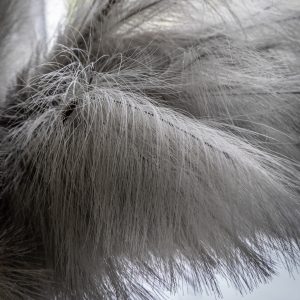 Gallery Direct Feathered Stem Grey Pack of 3 | Shackletons