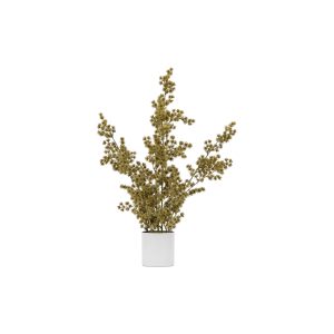 Gallery Direct Potted Cedar Pine Gold | Shackletons