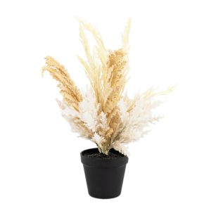 Gallery Direct Potted Dry Grass Mix | Shackletons