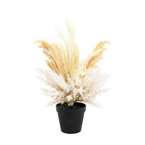 Gallery Direct Potted Dry Grass Mix | Shackletons