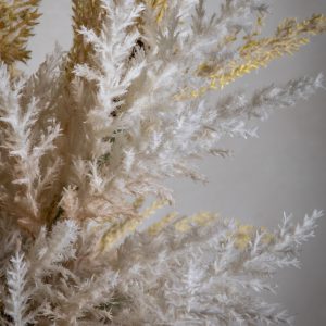 Gallery Direct Dry Grass Bouquet Small | Shackletons