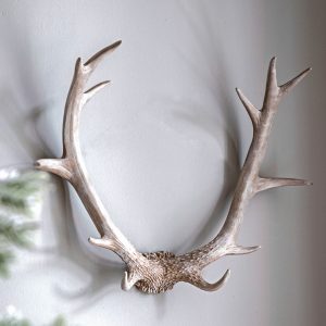 Gallery Direct Bjorn Antler Wall Art White | Shackletons