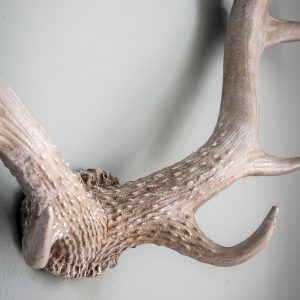 Gallery Direct Bjorn Antler Wall Art White | Shackletons