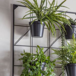 Gallery Direct Carlos Wall Planters Black | Shackletons