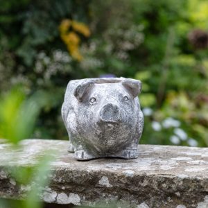 Gallery Direct Pig Planter Small Antique White | Shackletons