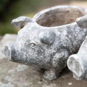 Gallery Direct Pig Planter Small Antique White | Shackletons