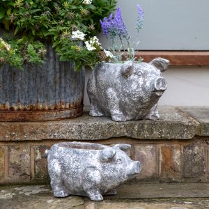 Gallery Direct Pig Planter Large Antique White | Shackletons