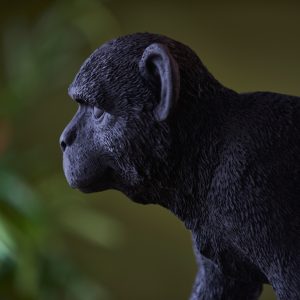 Gallery Direct Capuchin 1 Table Lamp Black | Shackletons